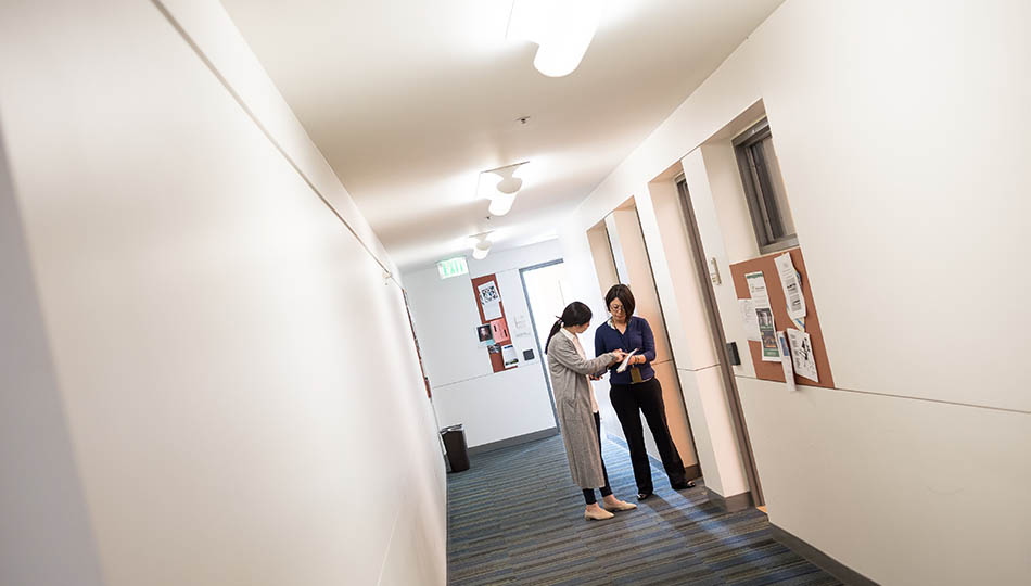 Inside SFCM 50 Oak