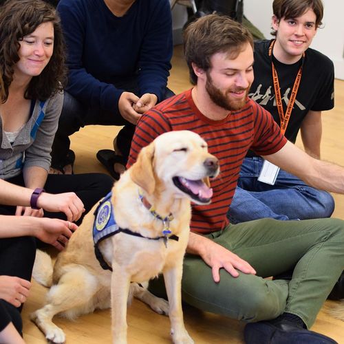 Students with dogs