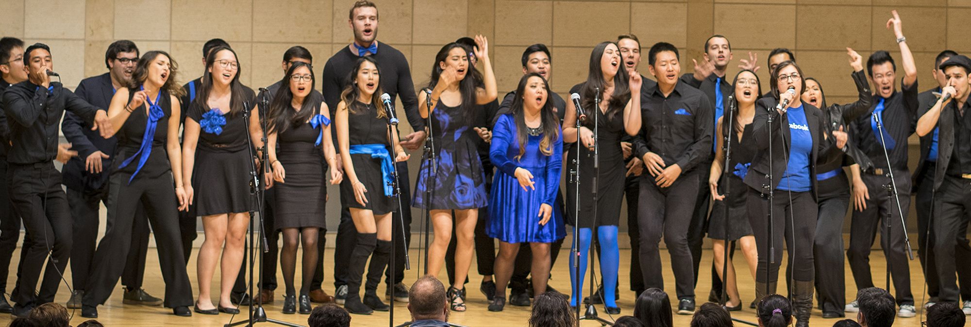Performance_Calendar-2018-19-Techapella.jpeg