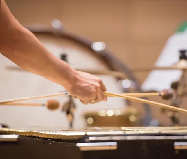 Percussion performance closeup