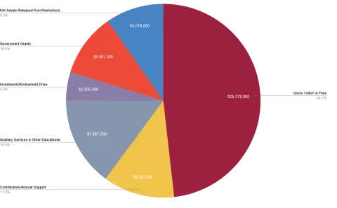 operating revenue pie chart