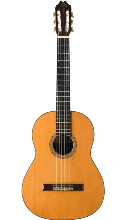 1969 Hernández y Aguado guitar front