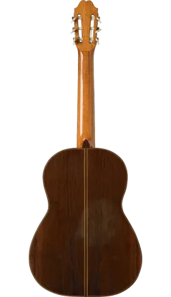 1910 Vicente Arias guitar back