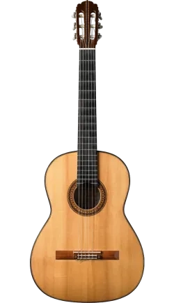 front of 1987 José Romanillos guitar