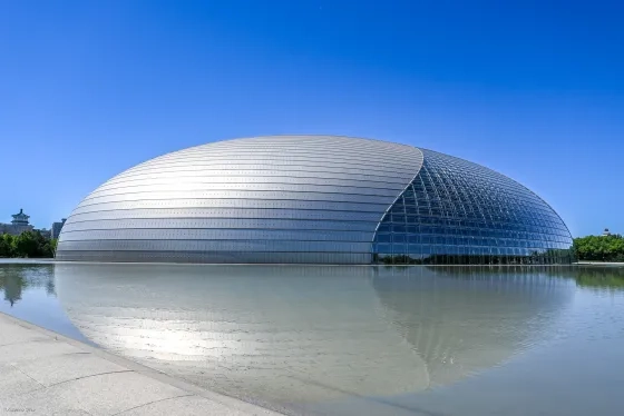 The China National Center for the Performing Arts.