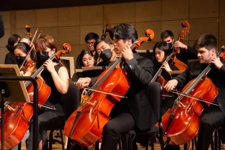 the cello section during an orchestra performance