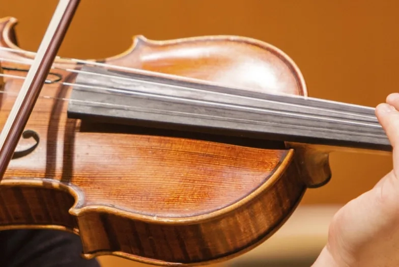 Violin