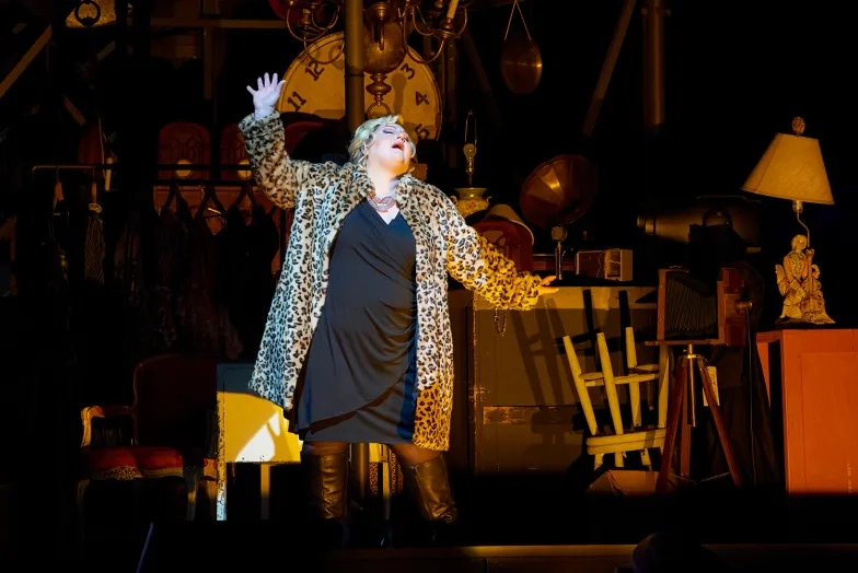 Catherine Cook in Rossini’s “Barber of Seville.” (Credit: Stefan Cohen)