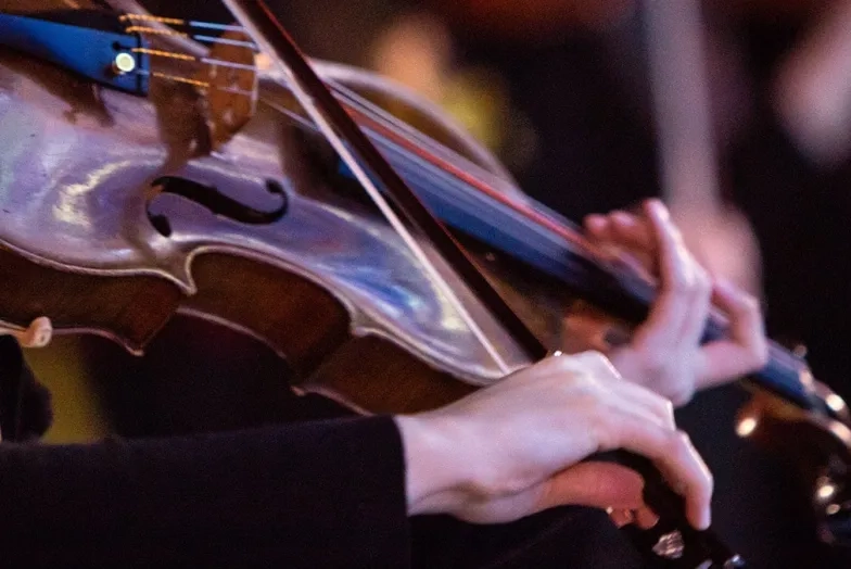 generic viola photo