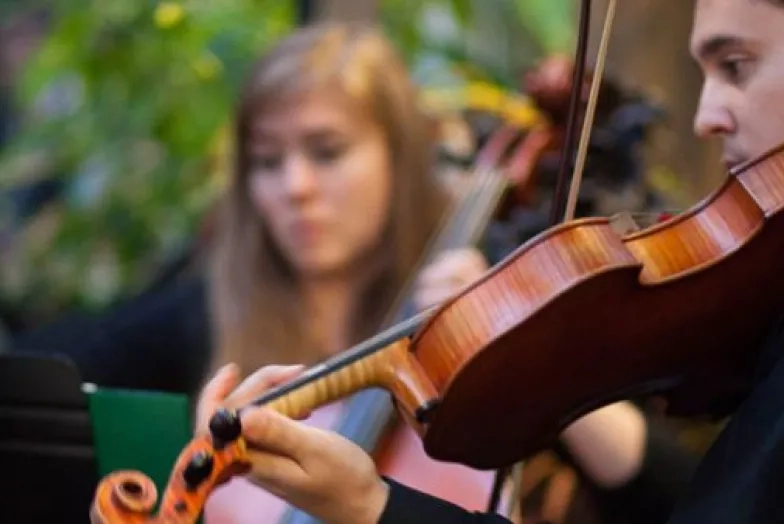 In focus shot of string player within quartet