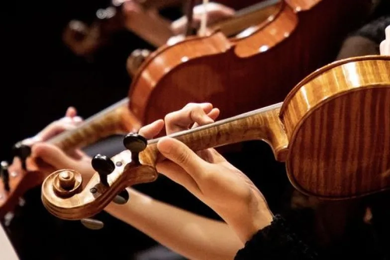 violin zoo