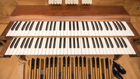 keyboards organ
