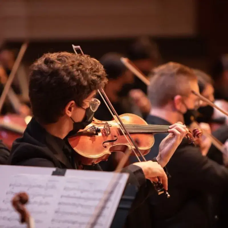 a violinist in the section playing during a performance